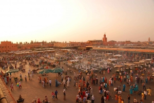 From Agadir: Marrakech Discovery Tour including Hotel Pickup