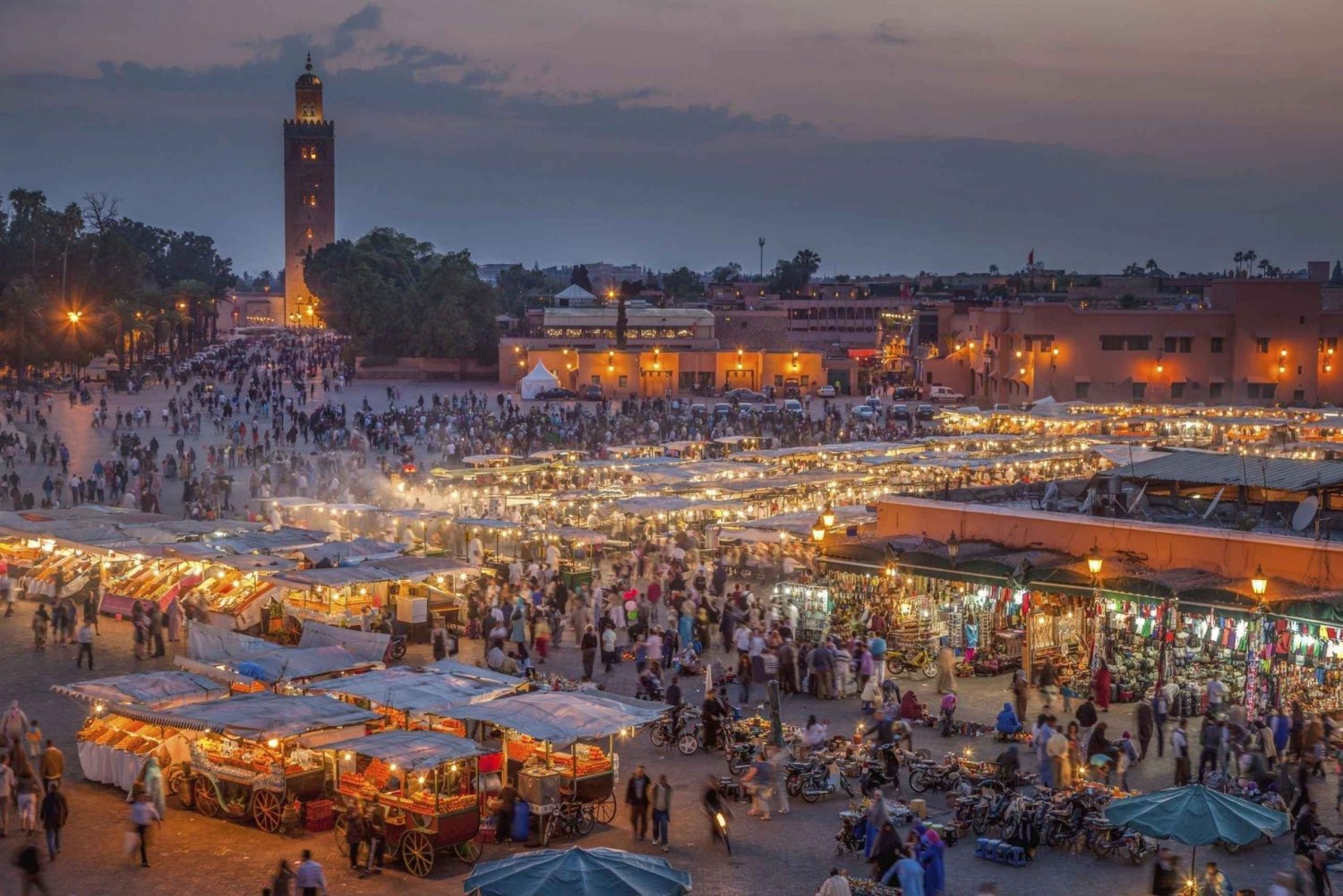 From Agadir or Taghazout: Guided Marrakech day trip