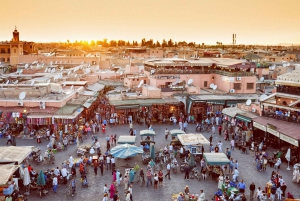 Från Agadir eller Taghazout: Guidad dagsutflykt till Marrakech