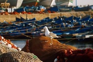 From Agadir: 2-Day Private Tour to Marrakech via Essaouira
