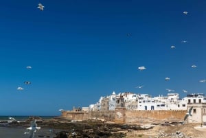From Agadir: 2-Day Private Tour to Marrakech via Essaouira