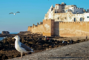 From Agadir: 2-Day Private Tour to Marrakech via Essaouira