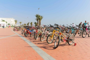 Desde Agadir: tour privado de 3 días a Marrakech y Casablanca