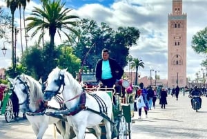 Desde Agadir: tour privado de 3 días a Marrakech y Casablanca