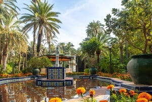 Desde Agadir: tour privado de 3 días a Marrakech y Casablanca