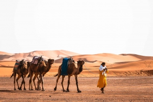 De Agadir: 4 dias privados até Marraquexe pelo deserto de Merzouga
