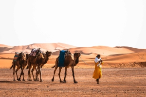Fra Agadir: Privat 4-dagers tur til Marrakech via Merzouga-ørkenen