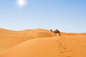 Fra Agadir: Privat 4-dagers tur til Marrakech via Merzouga-ørkenen