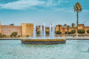 Agadirista: Taroudant ja Tiout päiväretki lounaalla