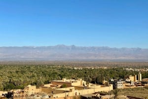 Agadirista: Taroudant ja Tiout päiväretki lounaalla