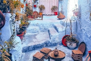 Desde Casablanca: Aventura privada de 5 días por el desierto hasta Marrakech