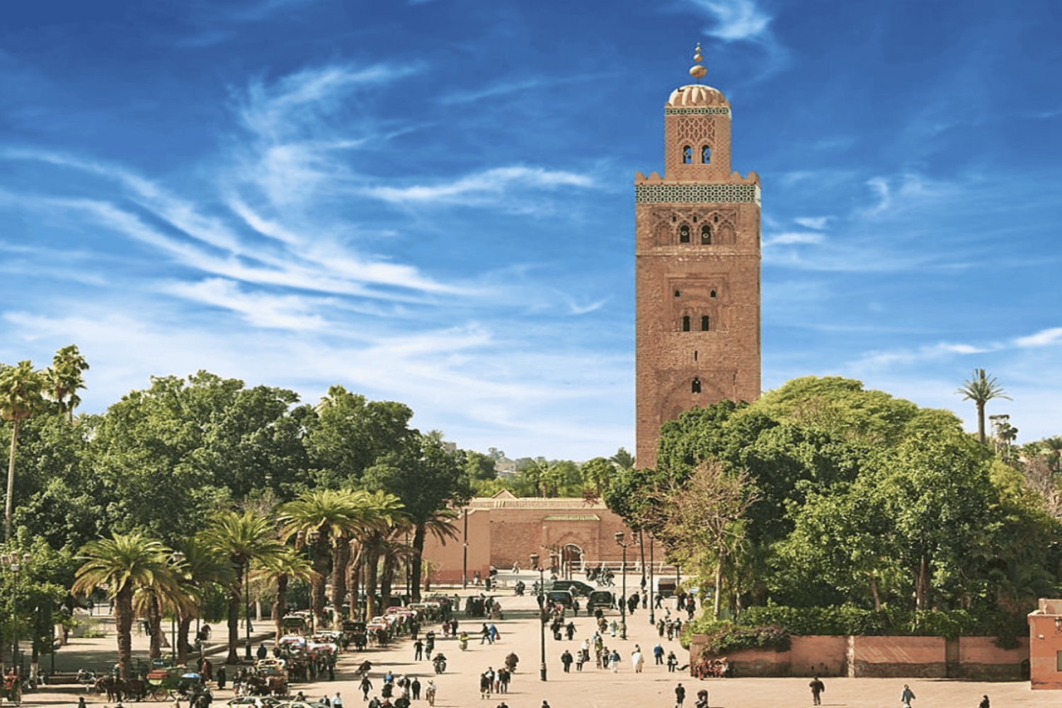 Au départ de Casablanca : Excursion à Marrakech avec balade à dos de chameau