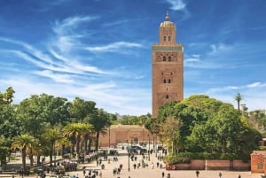 Von Casablanca aus: Tagesausflug nach Marrakech mit Kamelritt