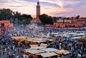 Fra Casablanca: Dagstur til Marrakech med kamelridning