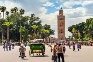 De Casablanca: Viagem de um dia a Marrakech com passeio de camelo
