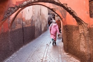 Desde Casablanca: Excursión de un día a Marrakech con paseo en camello