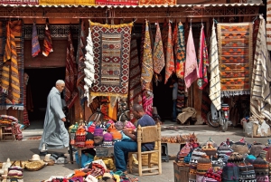 Desde Casablanca: Excursión de un día a Marrakech con paseo en camello