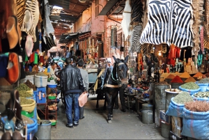 Desde Casablanca: Excursión de un día a Marrakech con paseo en camello