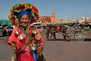 Au départ de Casablanca : Excursion à Marrakech avec balade à dos de chameau