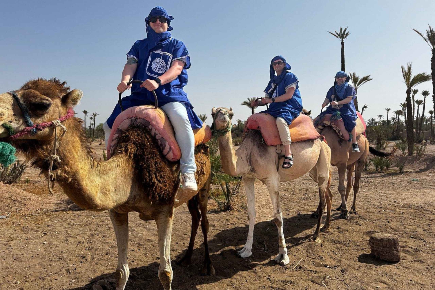 Desde Casablanca: excursión de un día a Marrakech y paseo en camello