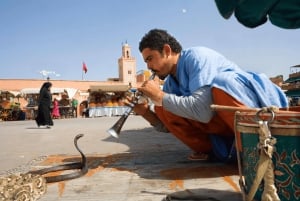 Depuis Casablanca : Excursion d'une journée complète à Marrakech et balade à dos de chameau