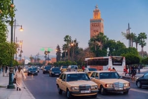 Depuis Casablanca : Excursion d'une journée complète à Marrakech et balade à dos de chameau