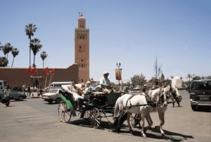 Depuis Casablanca : Excursion d'une journée complète à Marrakech et balade à dos de chameau
