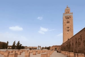 Depuis Casablanca : Excursion d'une journée complète à Marrakech et balade à dos de chameau