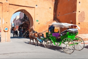 Desde Casablanca: excursión de un día a Marrakech y paseo en camello