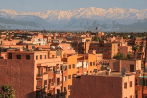Desde Casablanca: excursión de un día a Marrakech y paseo en camello