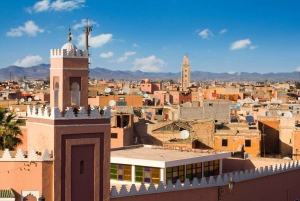 Desde Casablanca: excursión de un día a Marrakech y paseo en camello