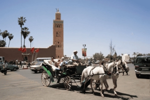 Desde Casablanca: excursión de un día a Marrakech y paseo en camello