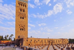 Au départ de Casablanca : Excursion guidée à Marrakech avec balade à dos de chameau