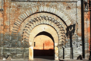 Au départ de Casablanca : Excursion guidée à Marrakech avec balade à dos de chameau