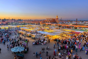 Vanuit Casablanca: Dagtrip Marrakech met gids en kamelenrit