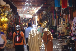 Från Casablanca: Guidad dagsutflykt till Marrakech med kamelridning