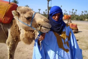 Da Casablanca: Escursione guidata di un giorno a Marrakech con giro in cammello