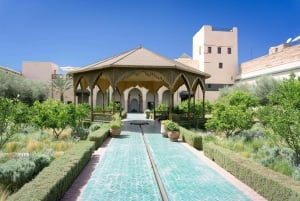 Au départ de Casablanca : Excursion guidée à Marrakech avec balade à dos de chameau