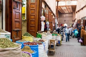 Au départ de Casablanca : Excursion guidée à Marrakech avec balade à dos de chameau