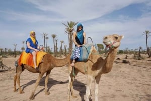 Au départ de Casablanca : Excursion guidée à Marrakech avec balade à dos de chameau