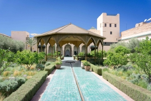 Desde Casablanca: Excursión de un día a Marrakech con paseo en camello