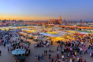 Desde Casablanca: Excursión de un día a Marrakech con paseo en camello