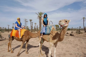 Desde Casablanca: Excursión de un día a Marrakech con paseo en camello