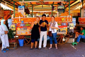 From Casablanca: Private Day Tour to Marrakech