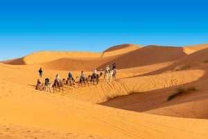 From Casablanca to Marrakech : 8 Day Morocco Classic Tour