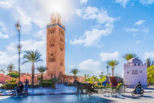 From Casablanca to Marrakech : 8 Day Morocco Classic Tour