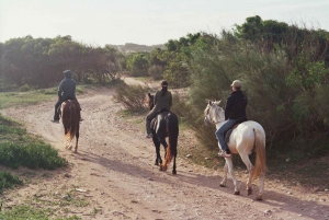 Fra Essaouira: 1 times ridetur til hest