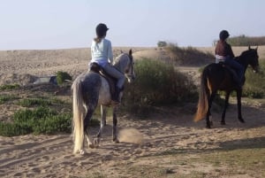 From Essaouira: 1-Hour Horse Ride