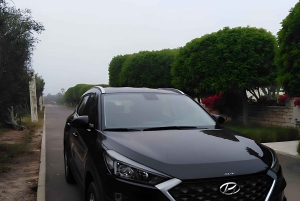 Depuis Essaouira : Transfert privé vers Taghazout ou Agadir