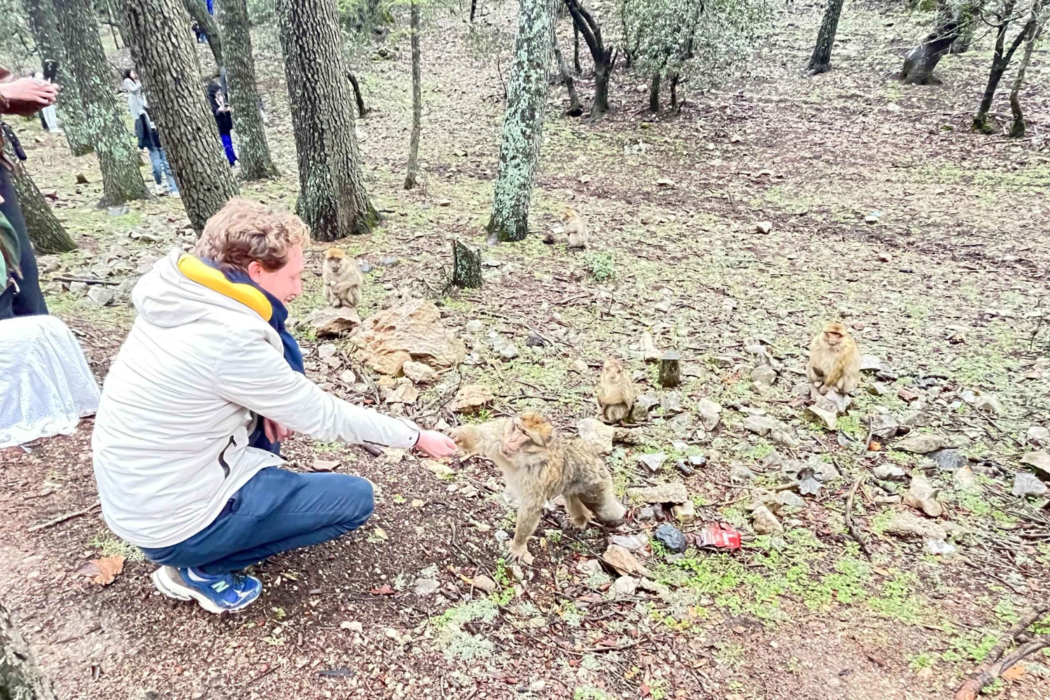 Von Fes: 2-tägige Wüstentour nach Marrakesch mit Luxuscamp